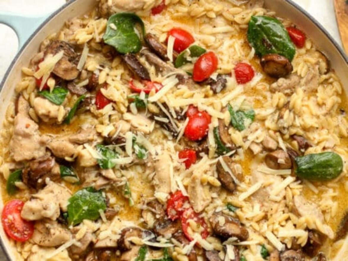 creamy-chicken-orzo-recipecard-500×375-1