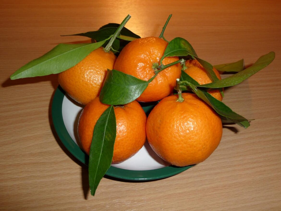 Citrus_reticulata_fruit_2009_G1